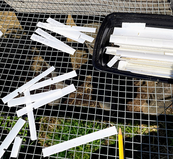 maximize-spring-cash-flow-garden-starts