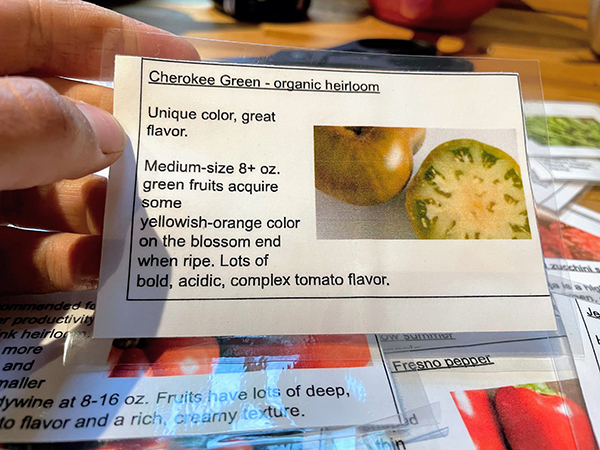 maximize-spring-cash-flow-garden-starts