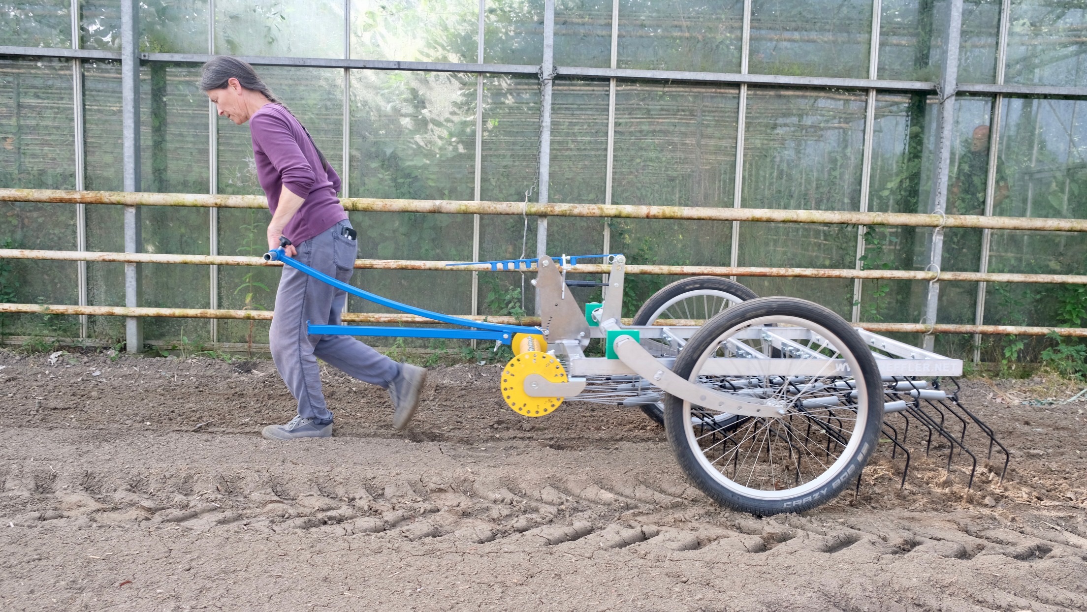 blind-cultivation-tine-weeding