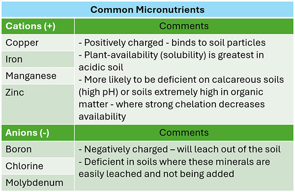 the-macro-impact-micronutrients