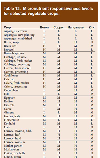 the-macro-impact-micronutrients