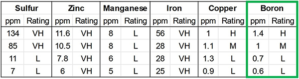 the-macro-impact-micronutrients