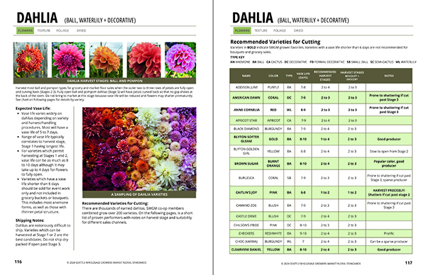 setting-floral-standards-and-varietyspecific-vase