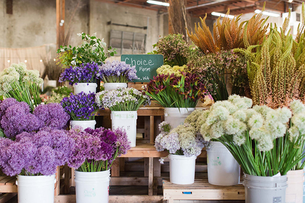 setting-floral-standards-and-varietyspecific-vase