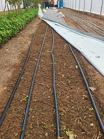 inplace-composting-farming-three-dimensions