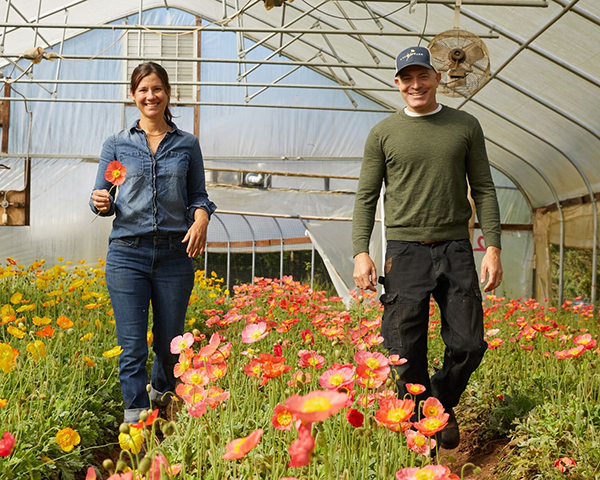 the-beautiful-pursuit