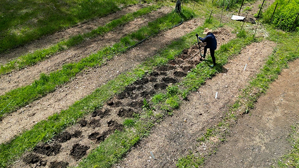 the-beautiful-pursuit