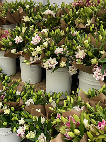 our-top-ten-flower-farm-improvements-2025