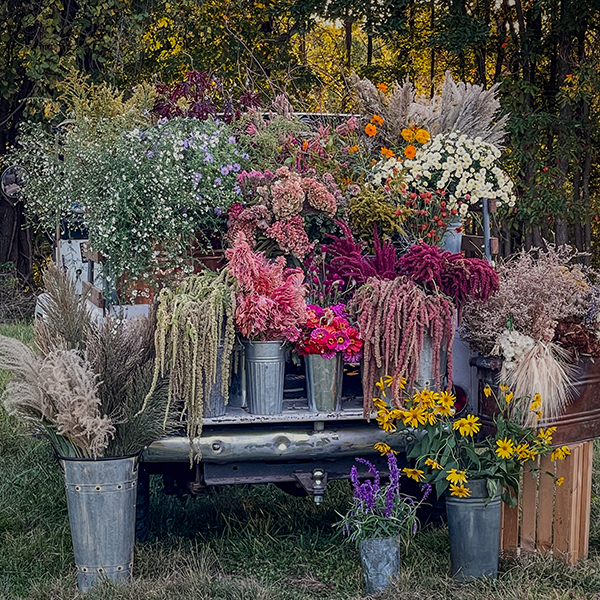 growing-flowers-weddings