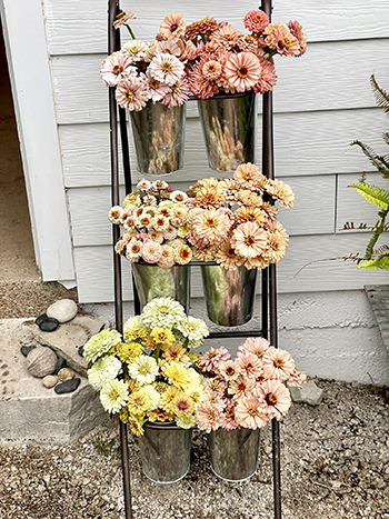 growing-flowers-weddings