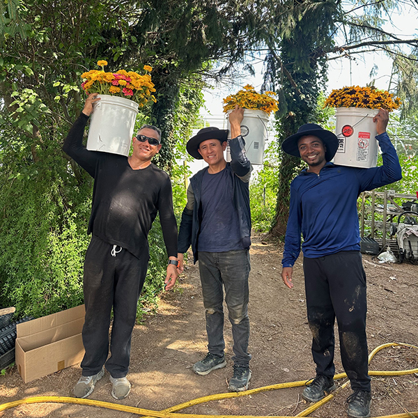 embracing-immigrant-refugee-and-migrant-workforce