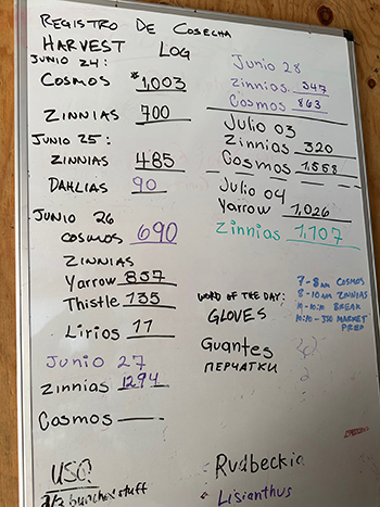 embracing-immigrant-refugee-and-migrant-workforce