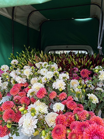 embracing-immigrant-refugee-and-migrant-workforce