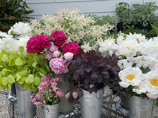 foraged-florals-and-woody-elements-part-1