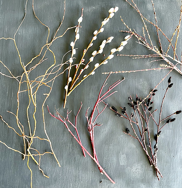 foraged-florals-and-woody-elements-part-1