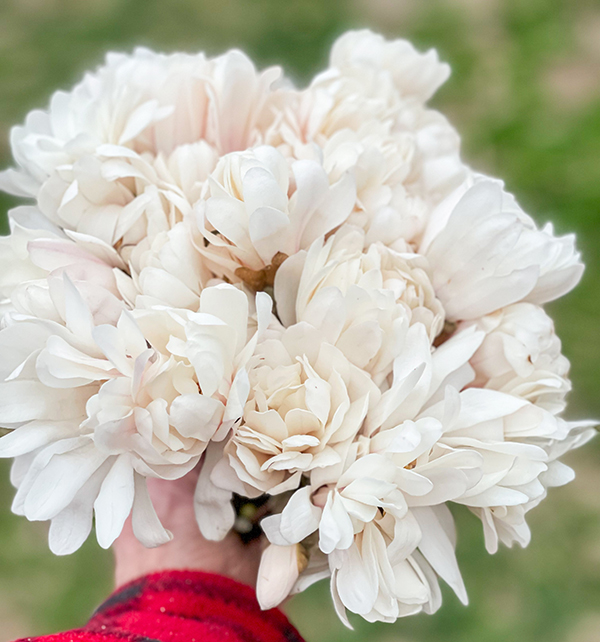 foraged-florals-and-woody-elements-part-1