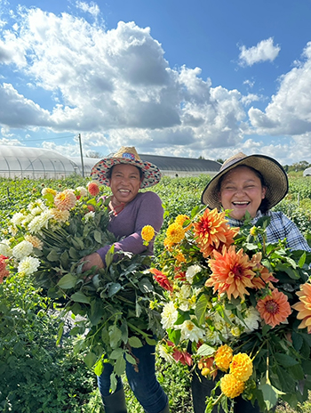 navigating-the-h2a-guestworker-visa-program