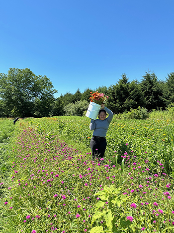 navigating-the-h2a-guestworker-visa-program