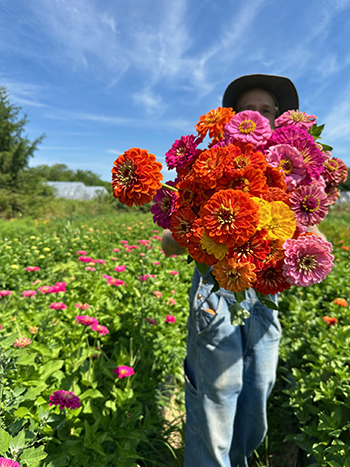 navigating-the-h2a-guestworker-visa-program