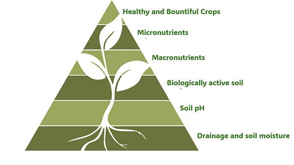 understanding-macronutrients-macro-impact