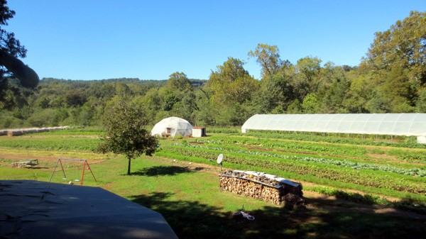 sweet-potato-propagation-and-production-updated
