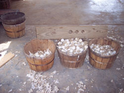 Garlic Grading System