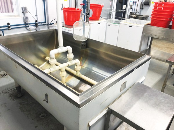 five-new-tools-market-gardeners