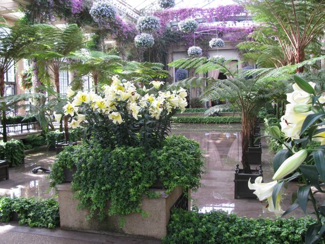 Longwood conservatory with lilies