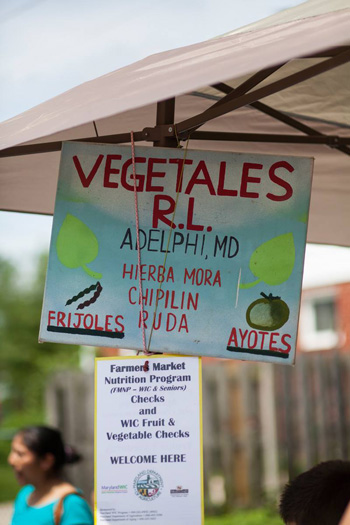 crossroads vegetales