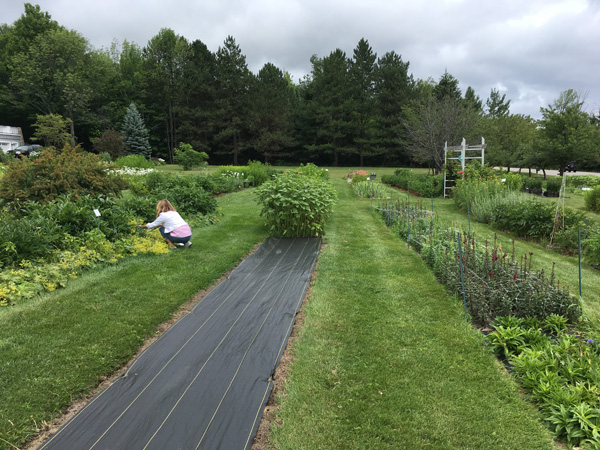 U-pick flower customer