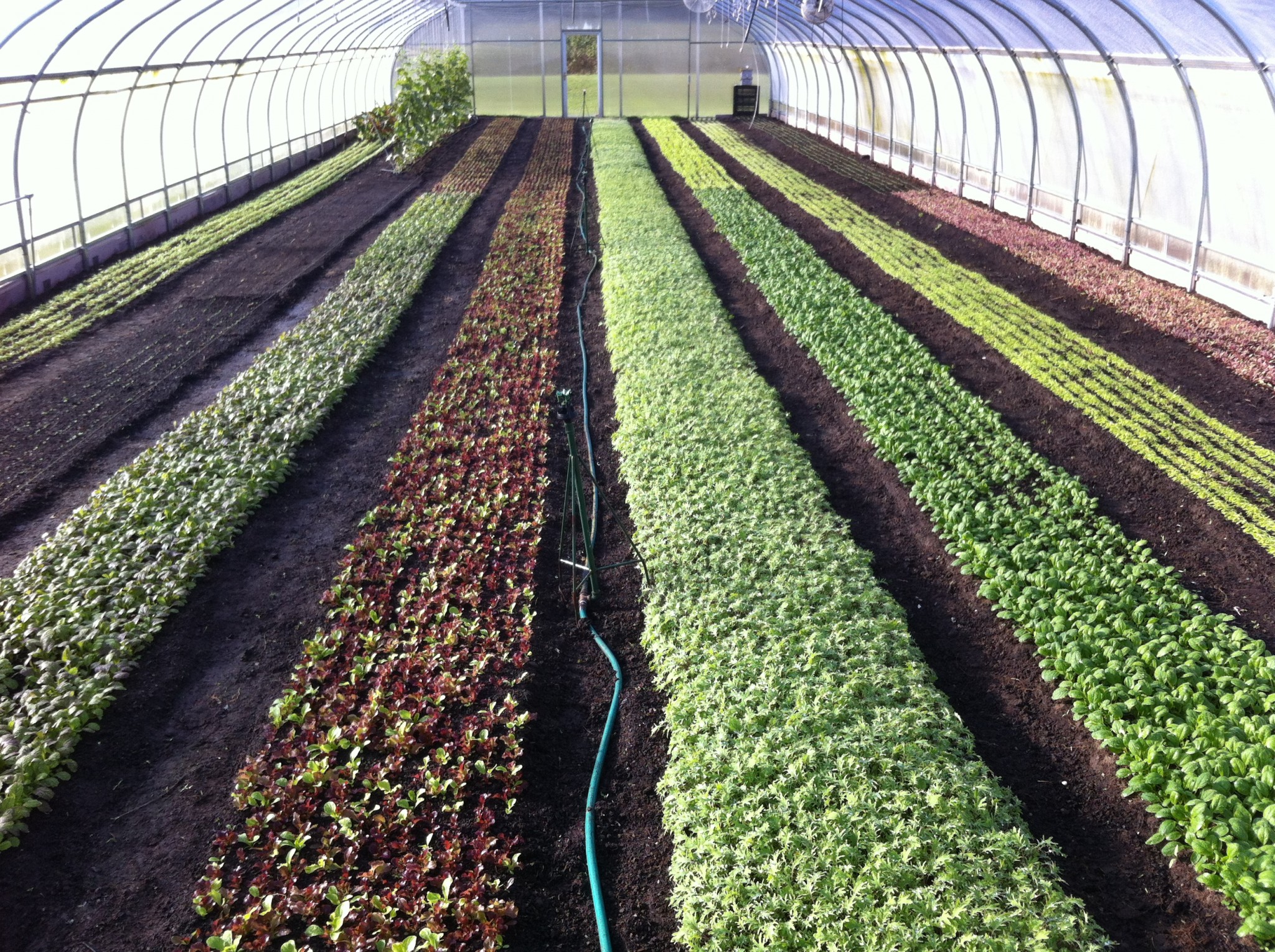 welcome-to-the-no-till-revolution