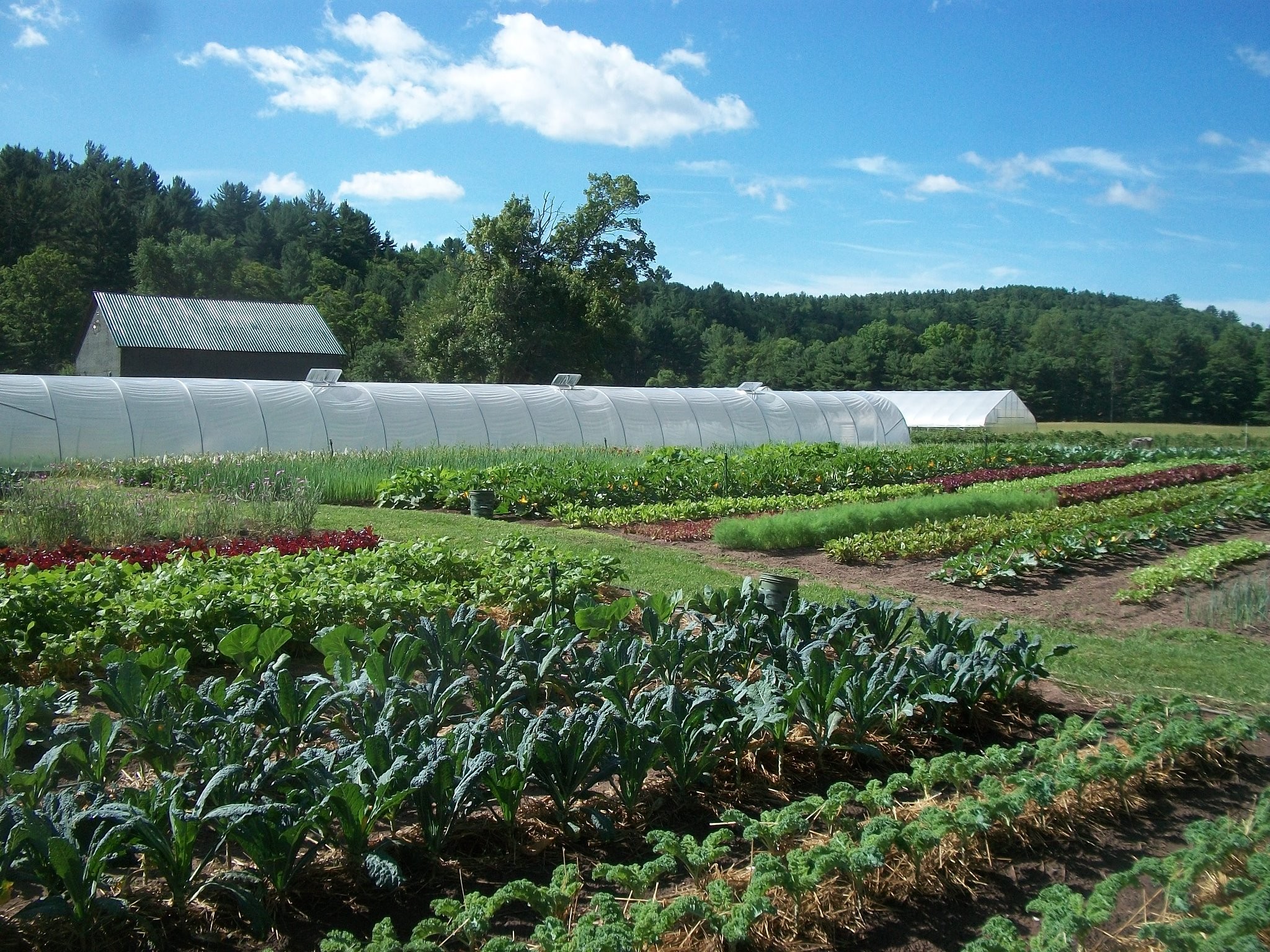 welcome-to-the-no-till-revolution
