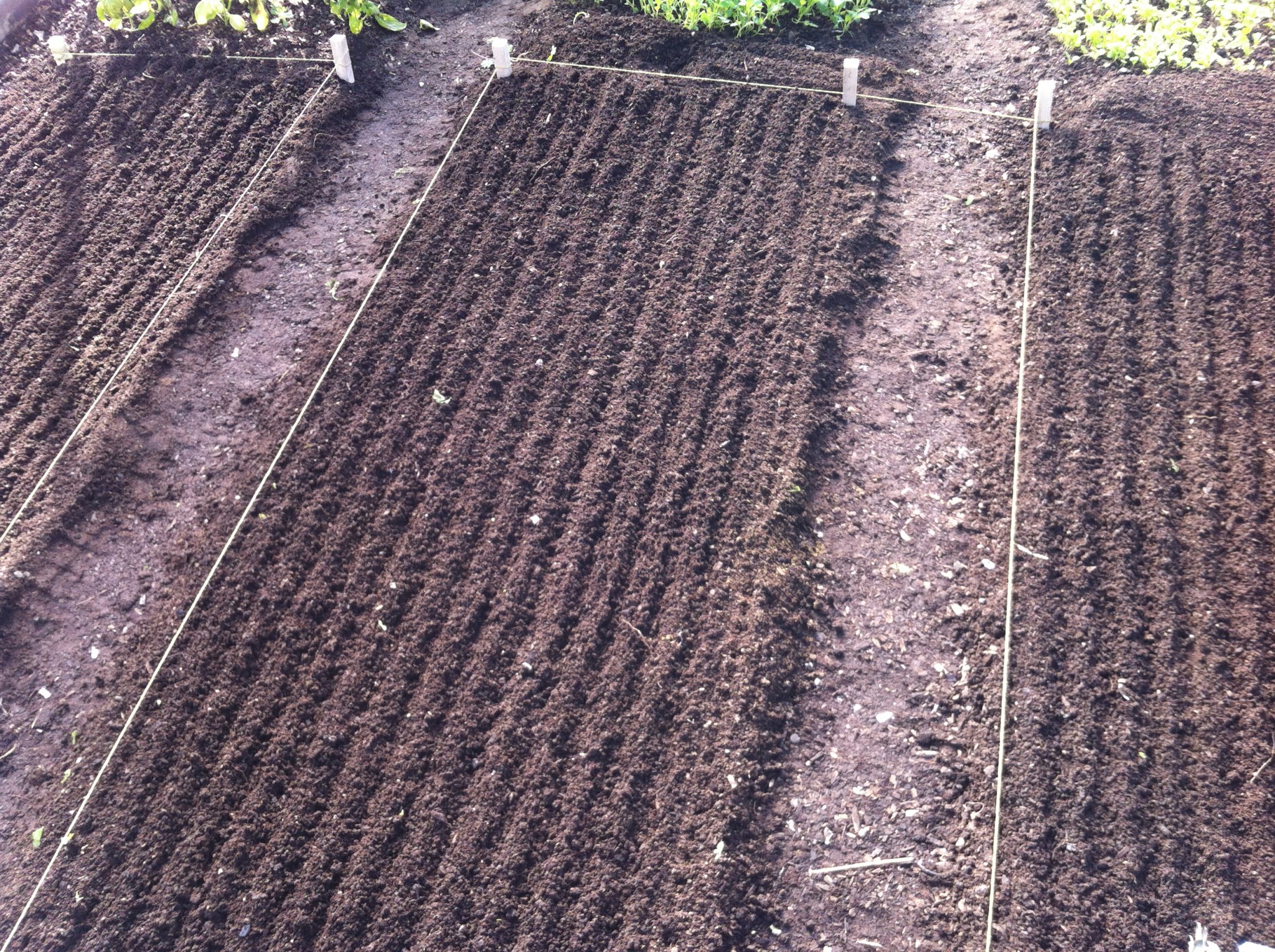 welcome-to-the-no-till-revolution