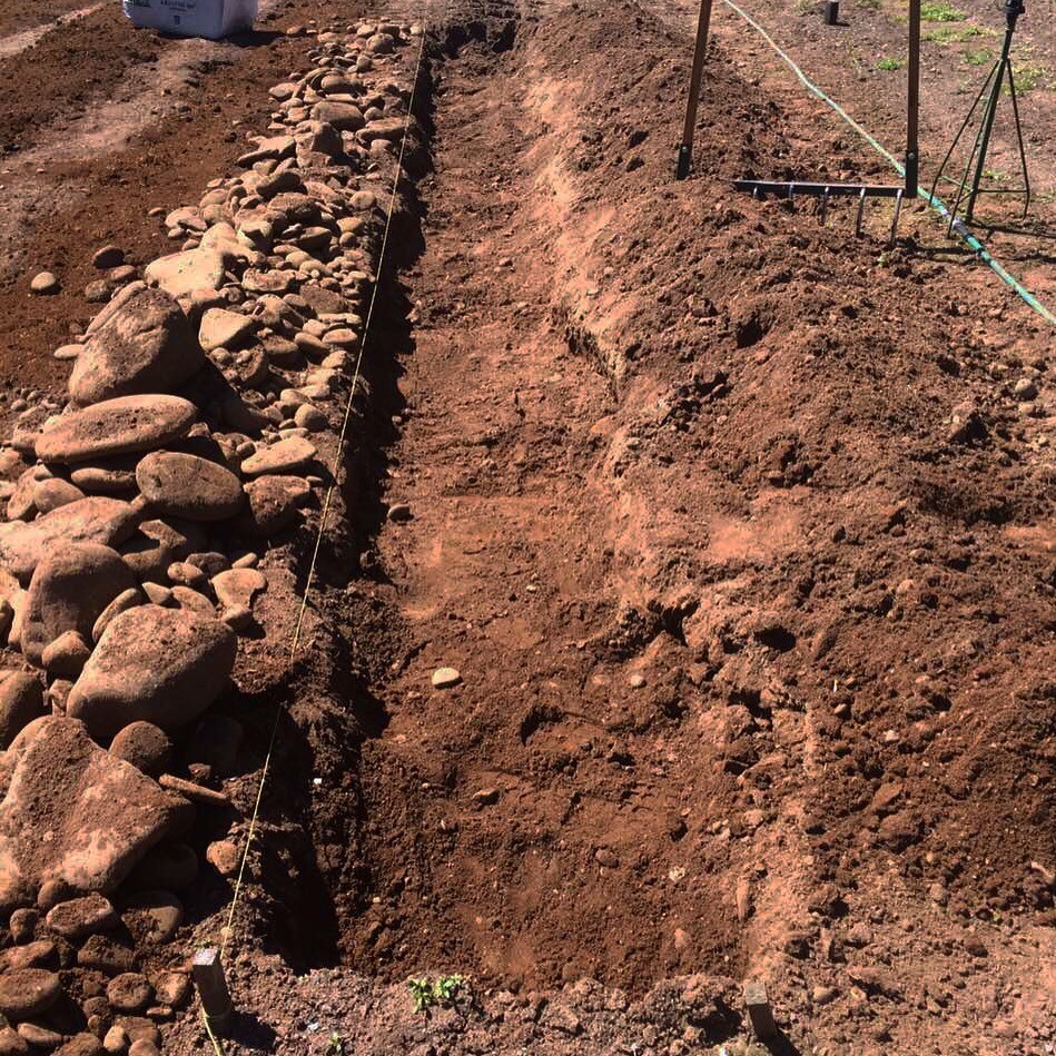 welcome-to-the-no-till-revolution