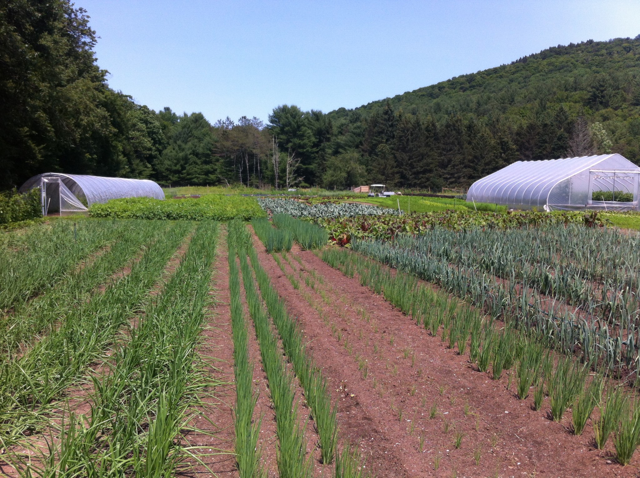 welcome-to-the-no-till-revolution