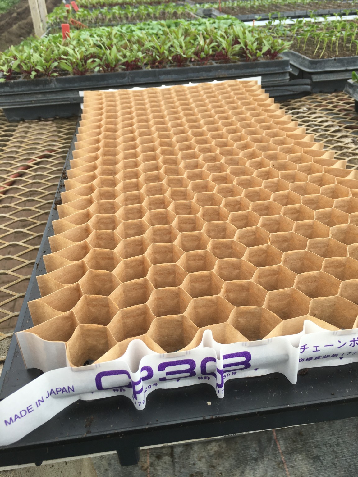 farming-lean-with-paper-pots