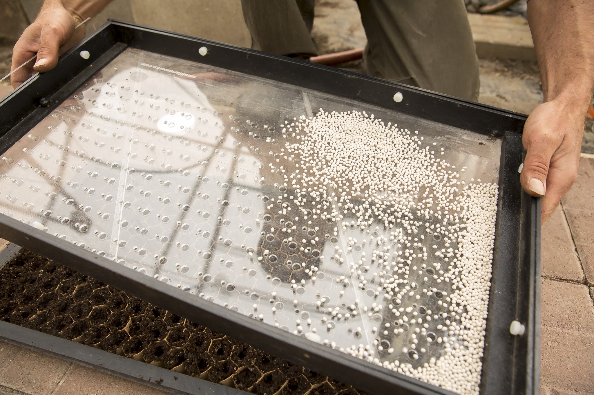farming-lean-with-paper-pots