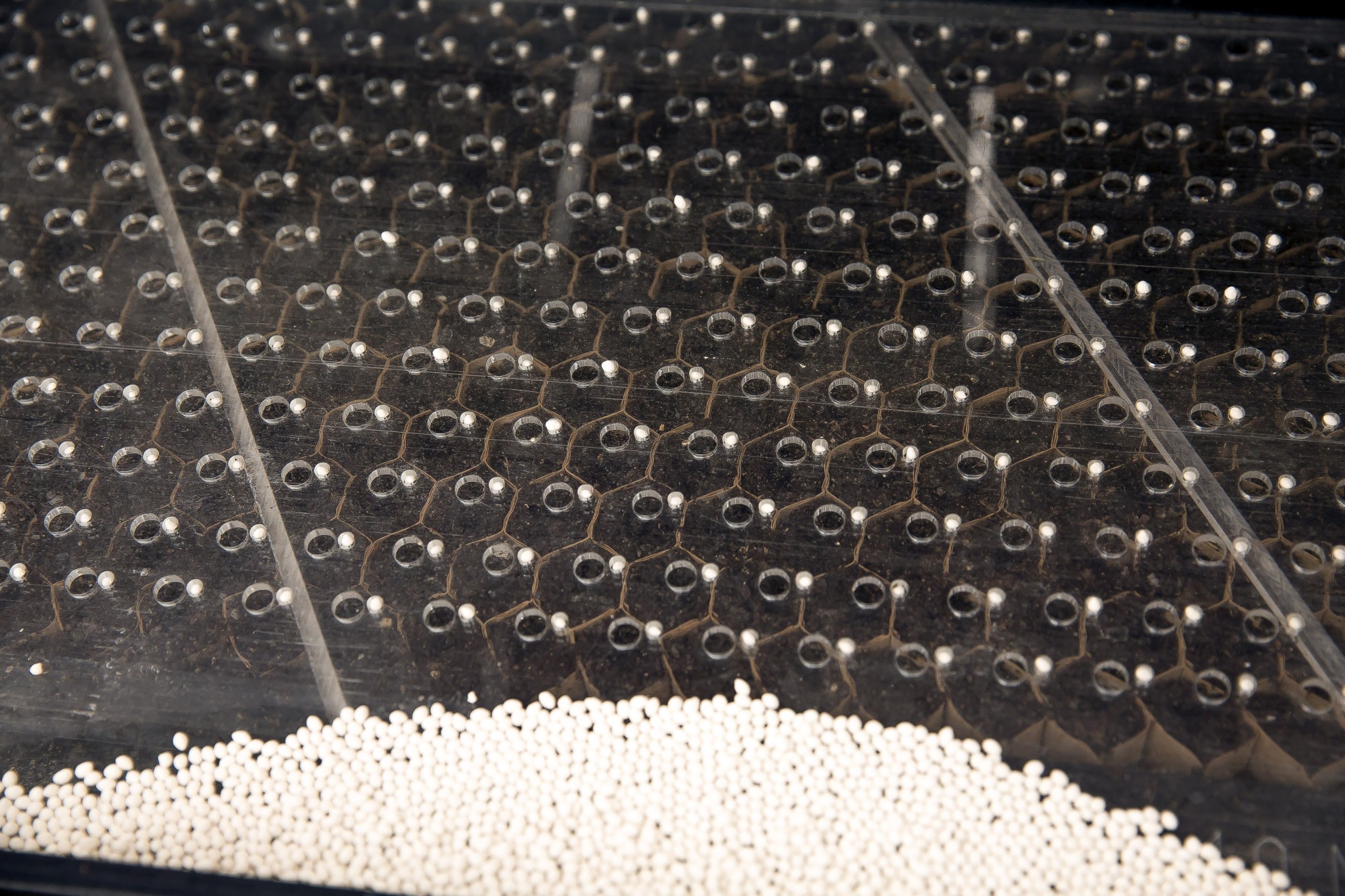 farming-lean-with-paper-pots