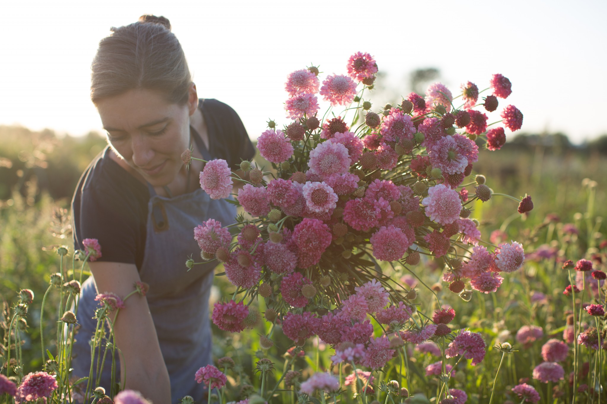 become-the-face-of-your-farm