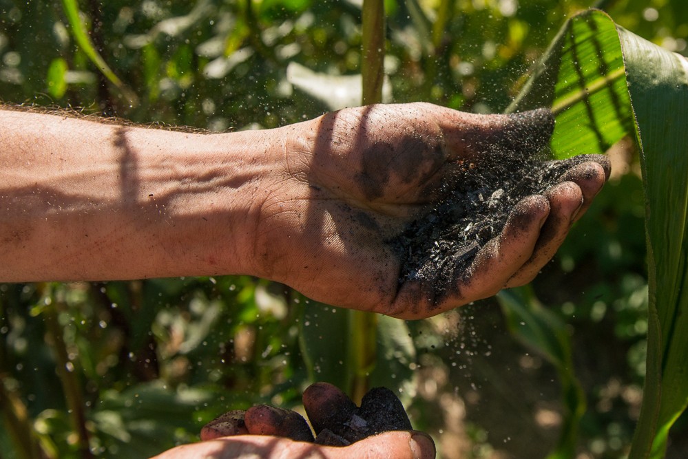 on-farm-trials-show-promise-of-biochar