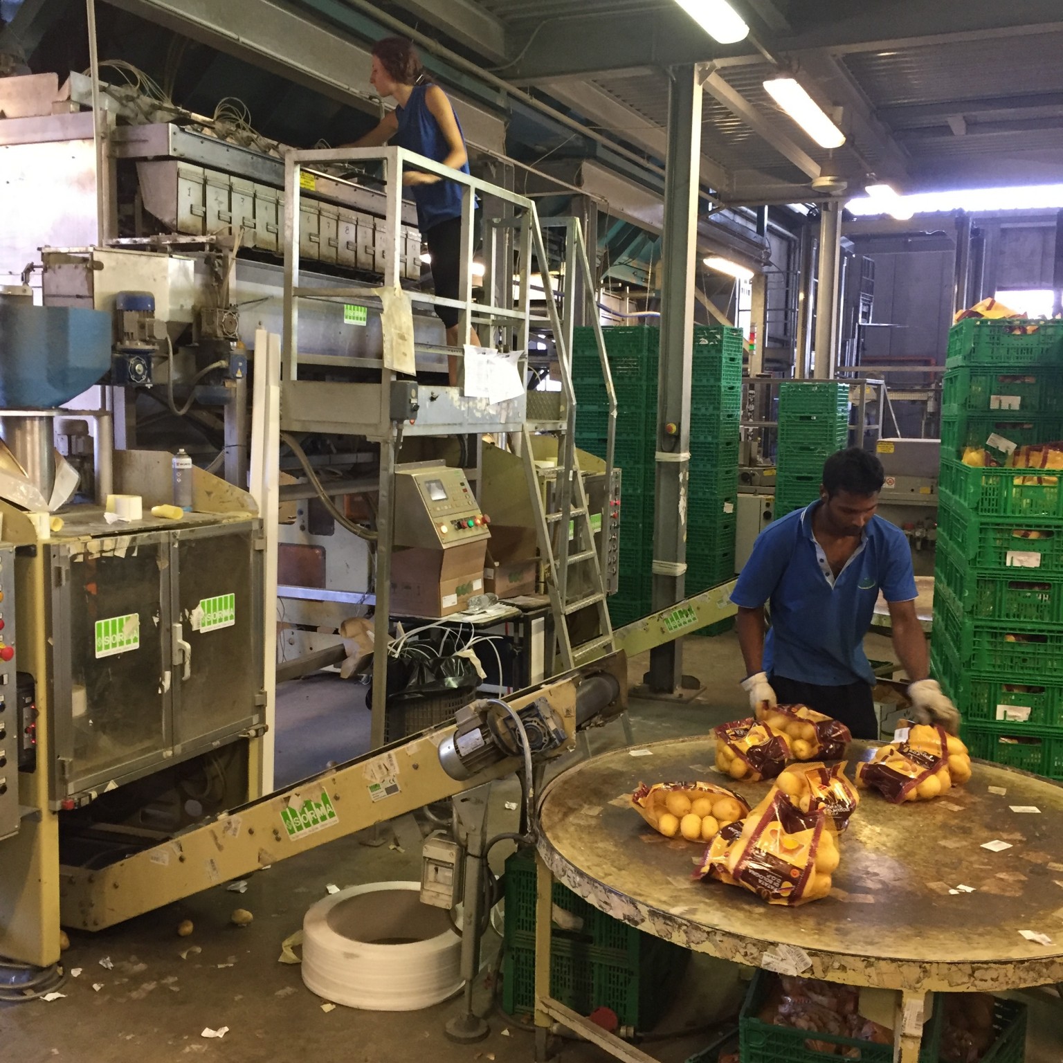 italy-thriving-agricultural-co-ops