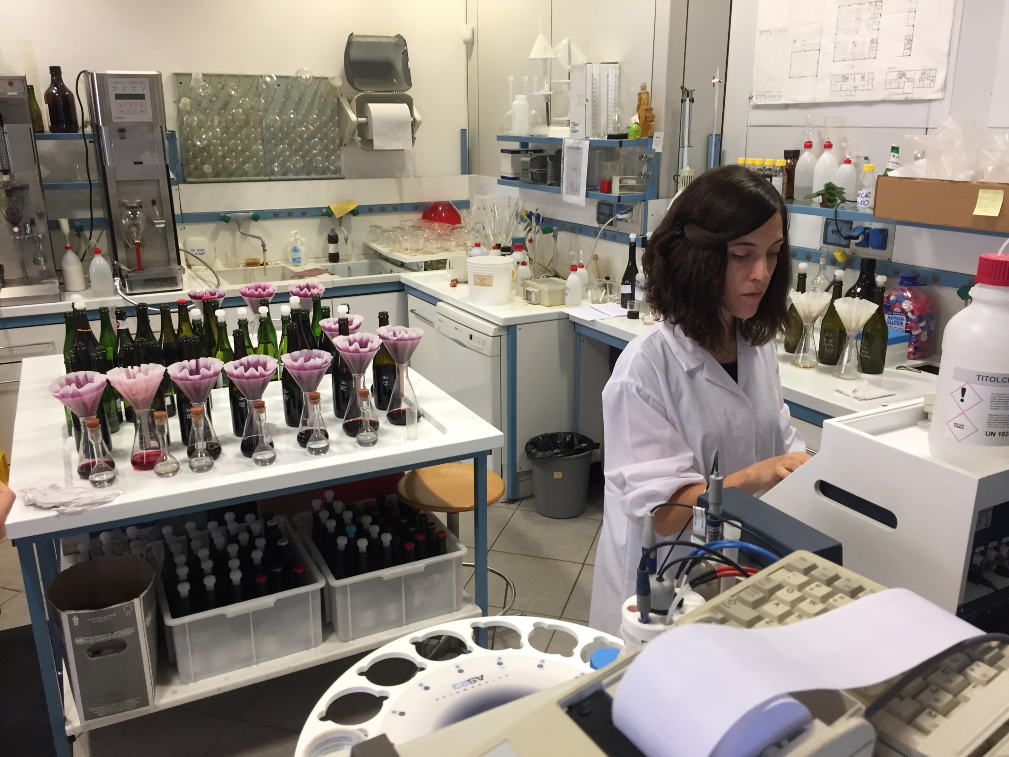 italy-thriving-agricultural-co-ops