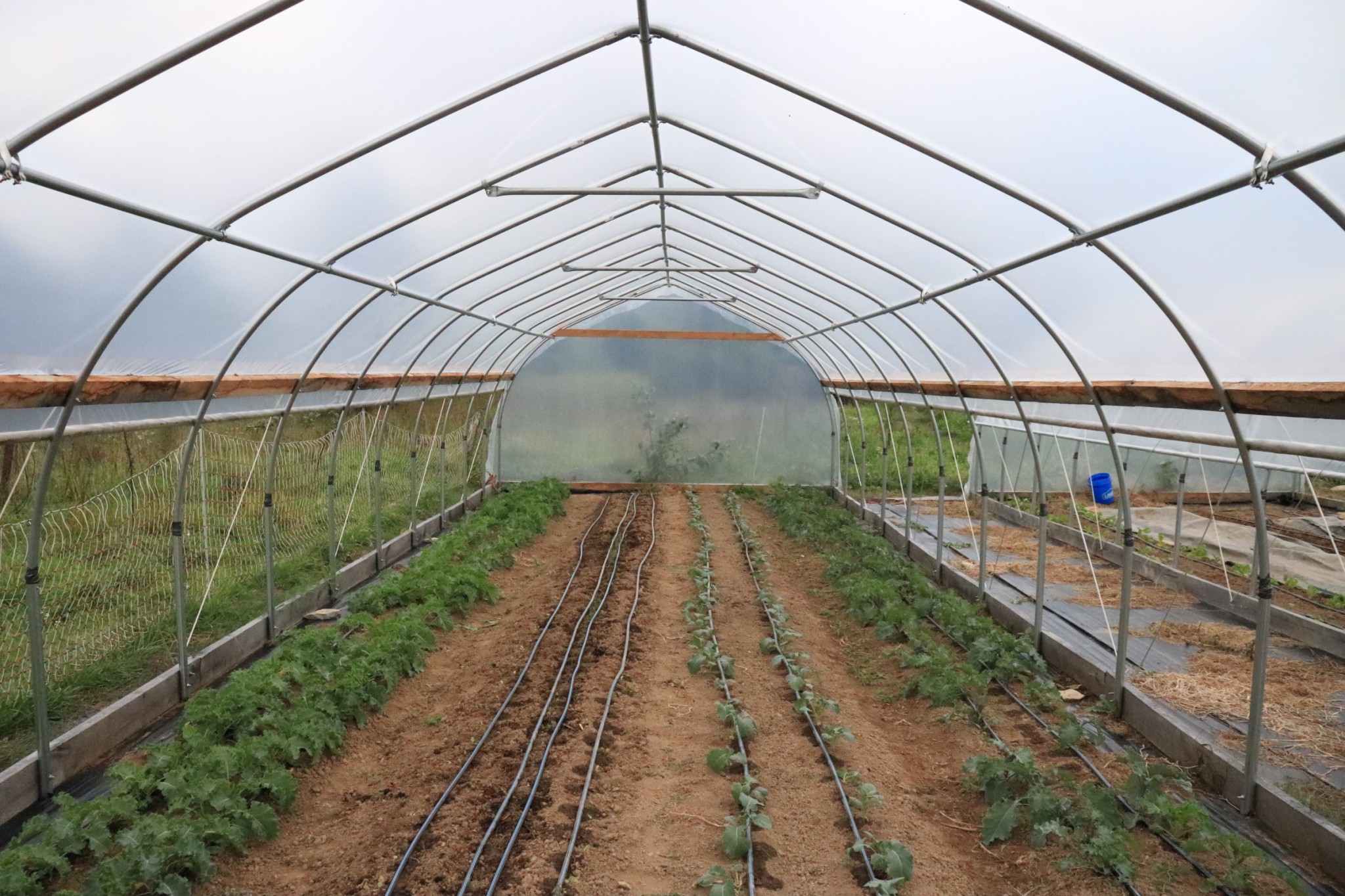 innovative-winter-csa-models-lead-to-summer-member-retention