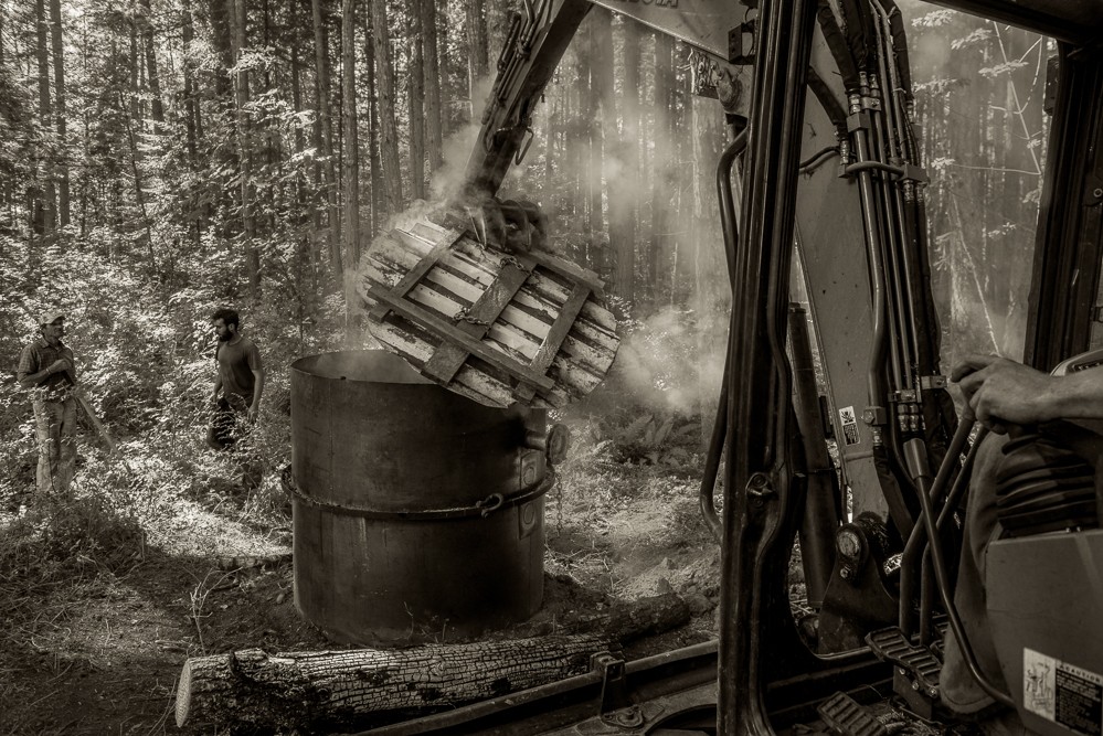 on-farm-trials-show-promise-of-biochar