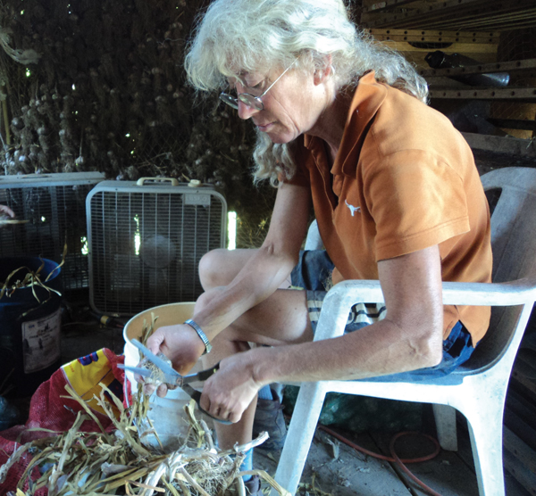 person trimming garlic