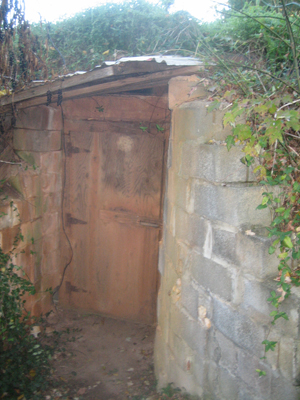 Root Cellar