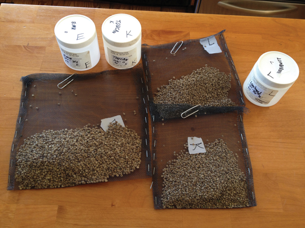 seed hotwater packets