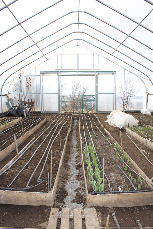 VanSandt hoophouse inside