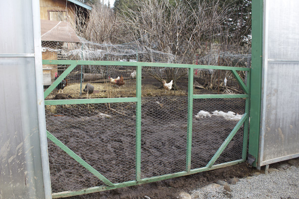 VanSandt hoophouse inside