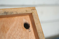 tomato box, wooden box detail